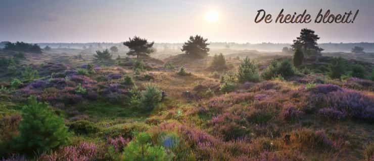 Natuur in Drenthe - Voordeeluitjes Vakantieblog
