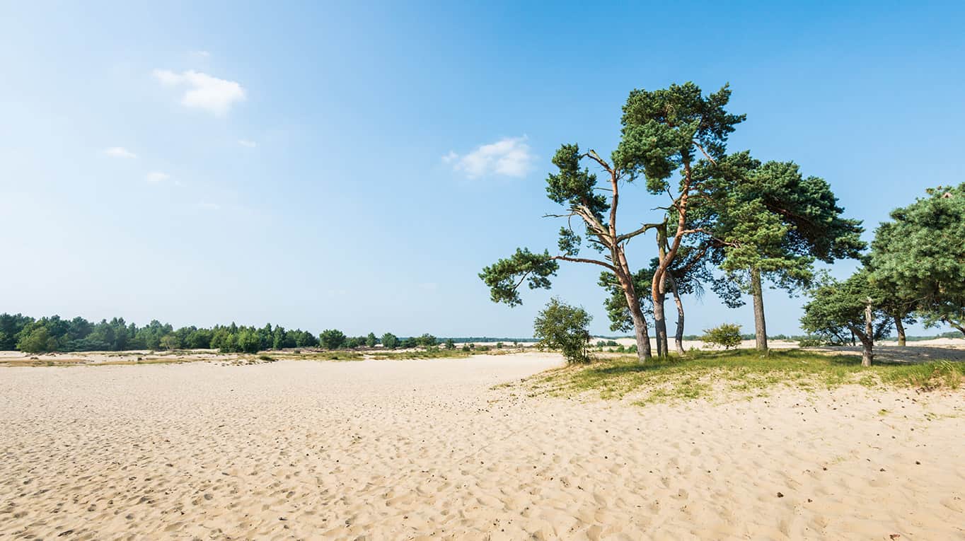 Loonse Drunense Duinen- Vakantie-Nederland-Voordeeluitjes-Vakantieblog