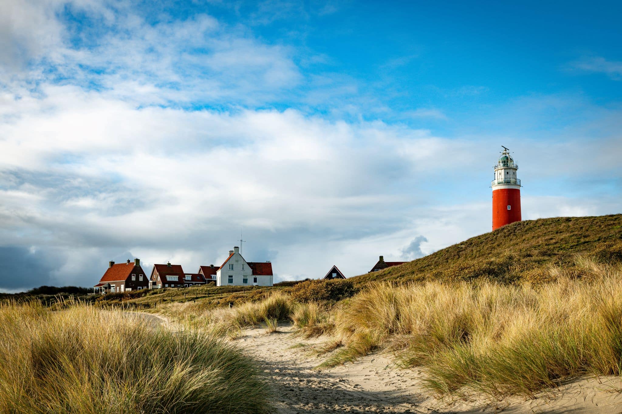 Texel