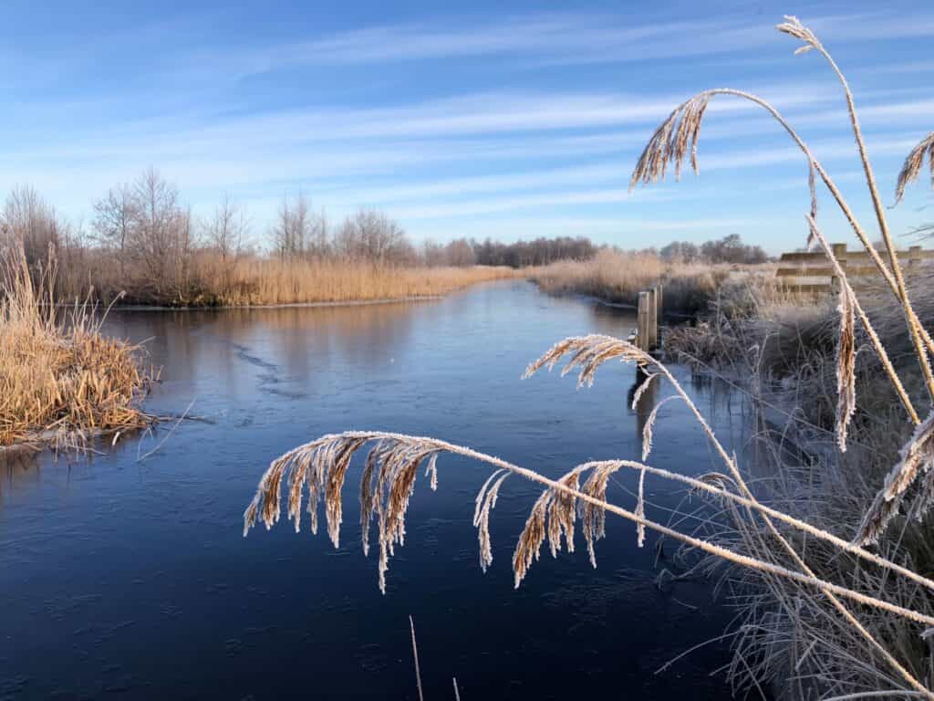 Friesland wat te doen natuurijs