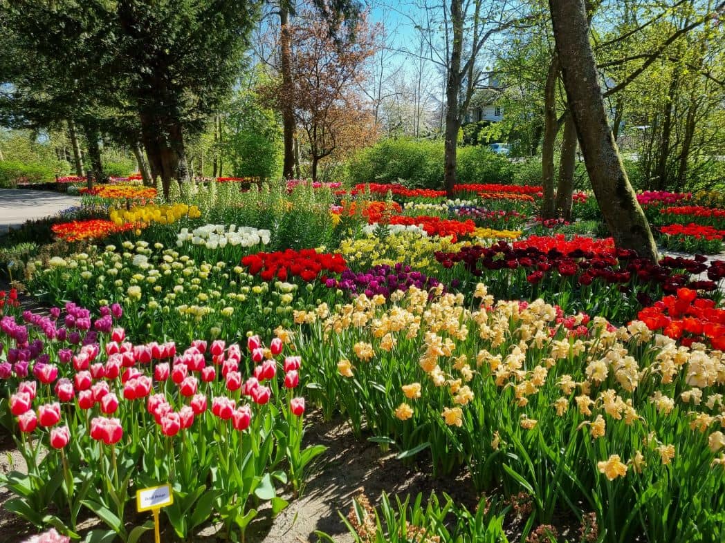 Botanische tuinen
