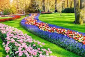 lenteblog - lente - voordeeluitjesblog