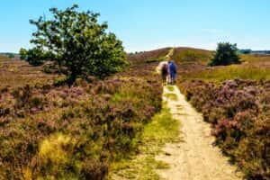 Even op minivakantie? Ontdek de perfecte bestemming in Nederland, Duitsland, België of Luxemburg!