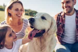 Last minute-uitje met de hond? De leukste hondenstranden en meer