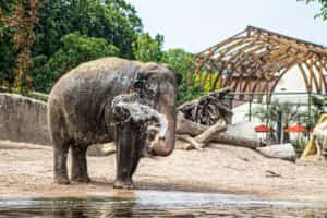 zomeruitjesblog - zomeruitjes - voordeeluitjesblog