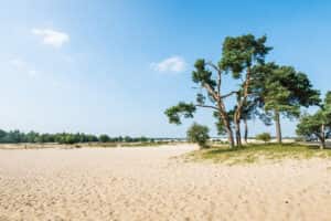 Loonse Drunense Duinen- Vakantie-Nederland-Voordeeluitjes-Vakantieblog