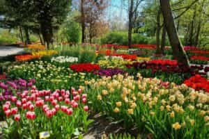 Botanische tuinen