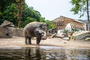 Van dagje uit naar weekendje weg: maak je dierentuin- of pretparkbezoek compleet!