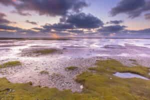 Waddeneiland