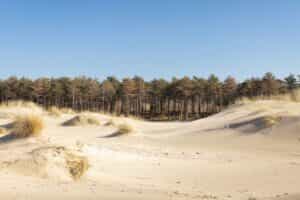Zeeuwse kust